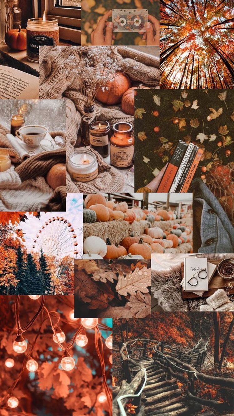 Cute Brown Aesthetic Wallpaper for Phone : Fall Aesthetic Wallpaper I Take You. Wedding Readings. Wedding Ideas