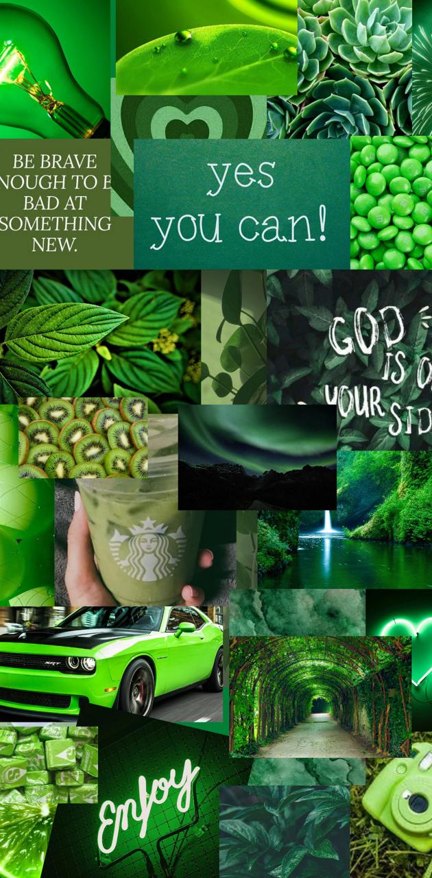 Collage of green pictures with a quote that says 