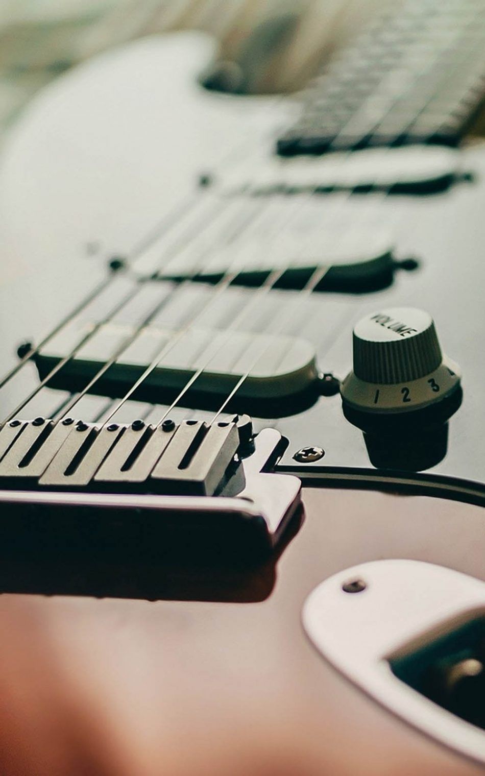 A guitar with the strings and neck - Guitar