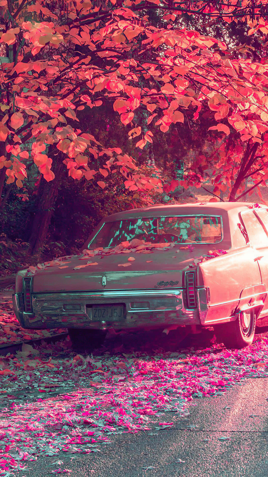 Download Autumn Leaves Vintage Car Wallpaper
