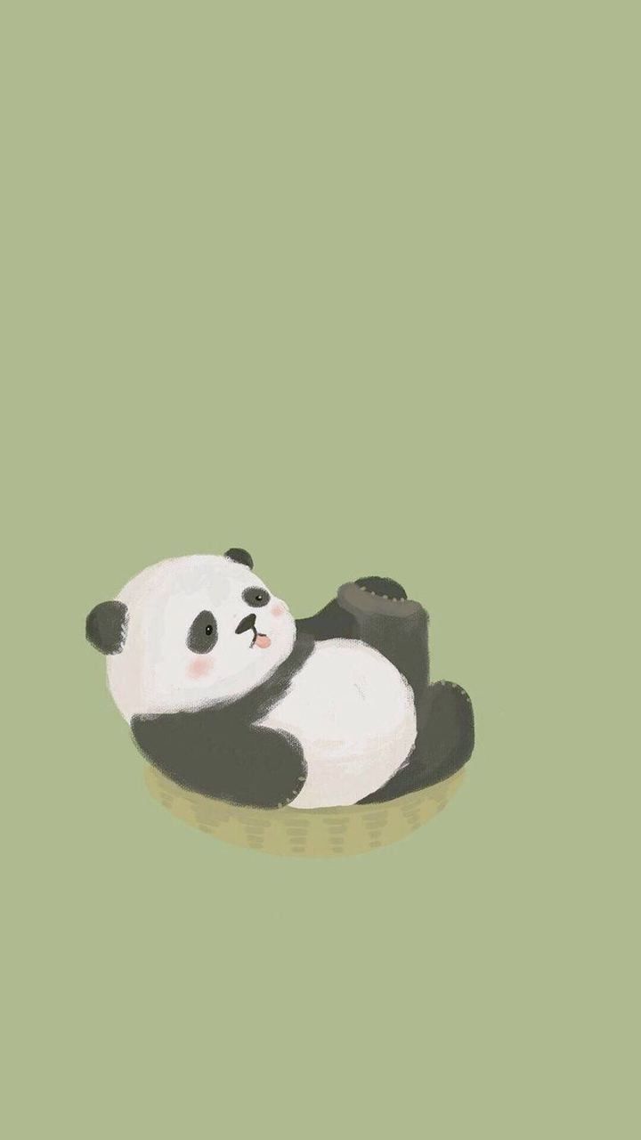 A panda bear is laying on the ground - Panda