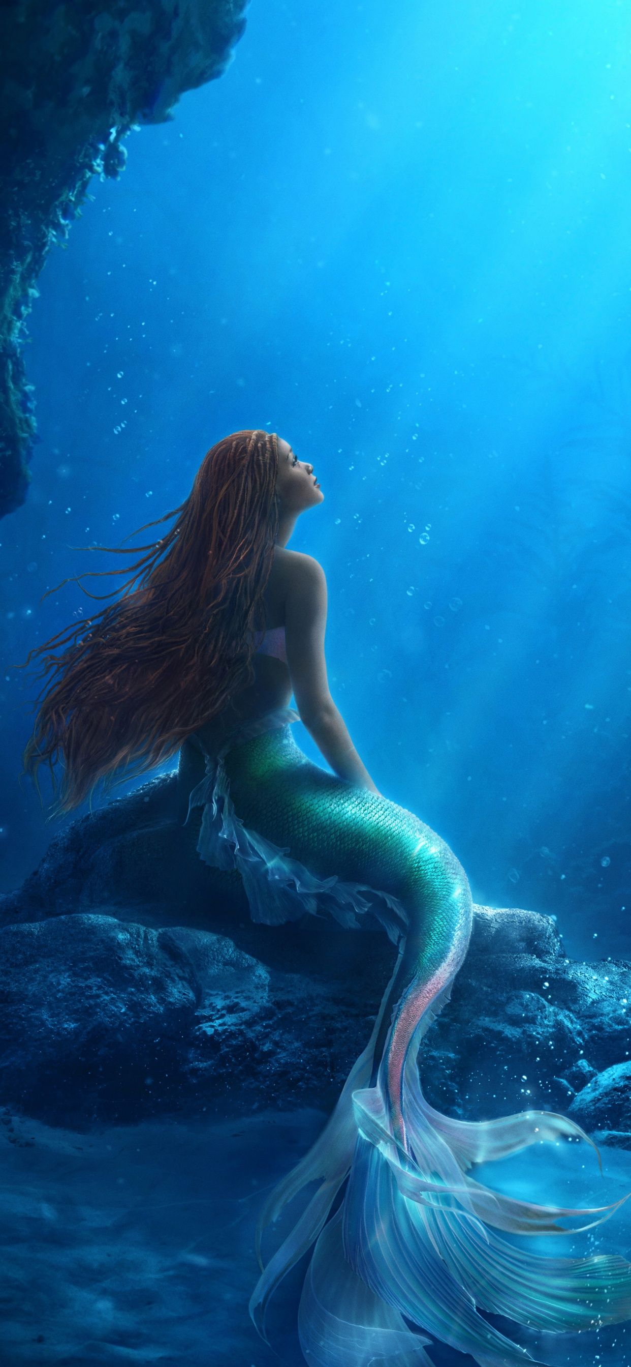 A mermaid sitting on the rocks in water - Mermaid