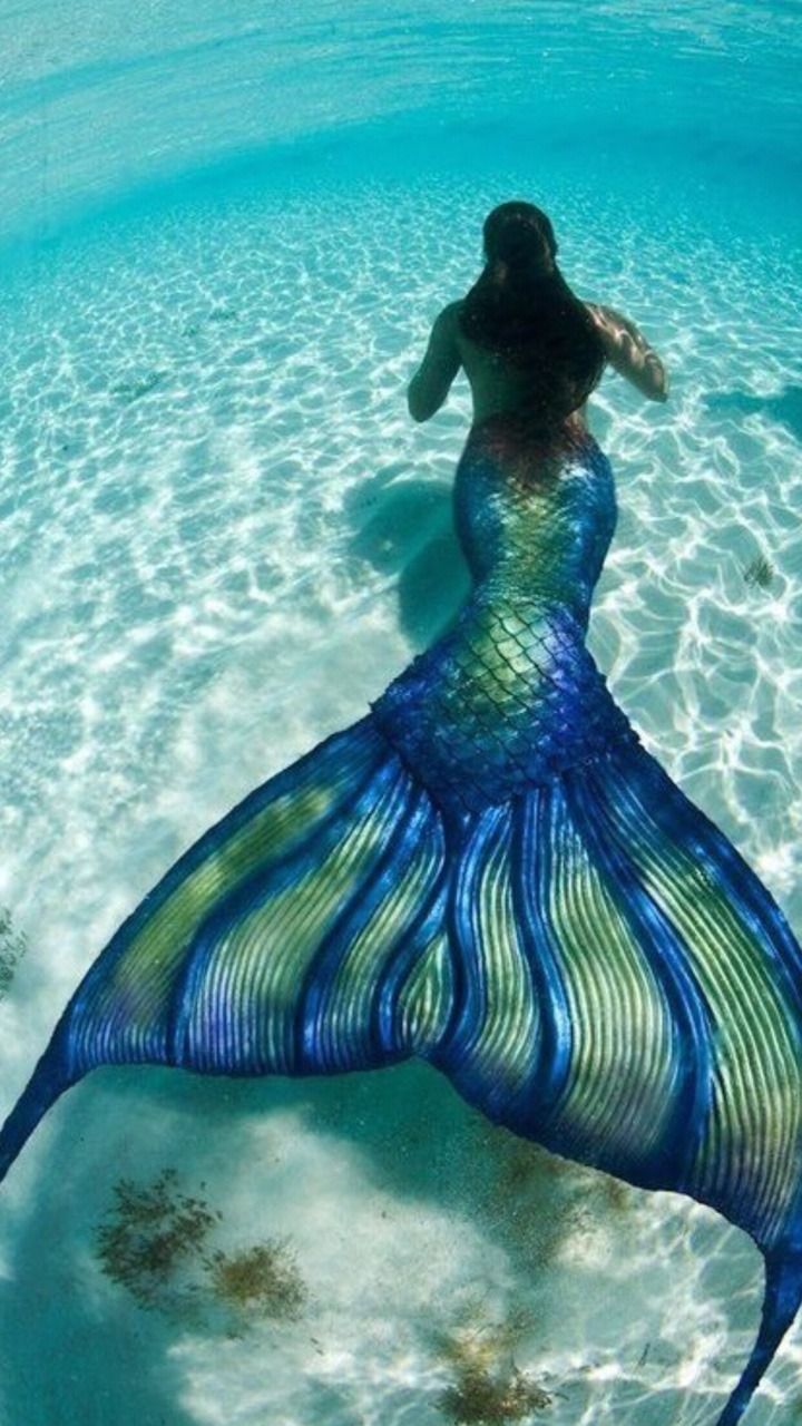 A woman in a blue and green mermaid tail swimming in the ocean - Mermaid
