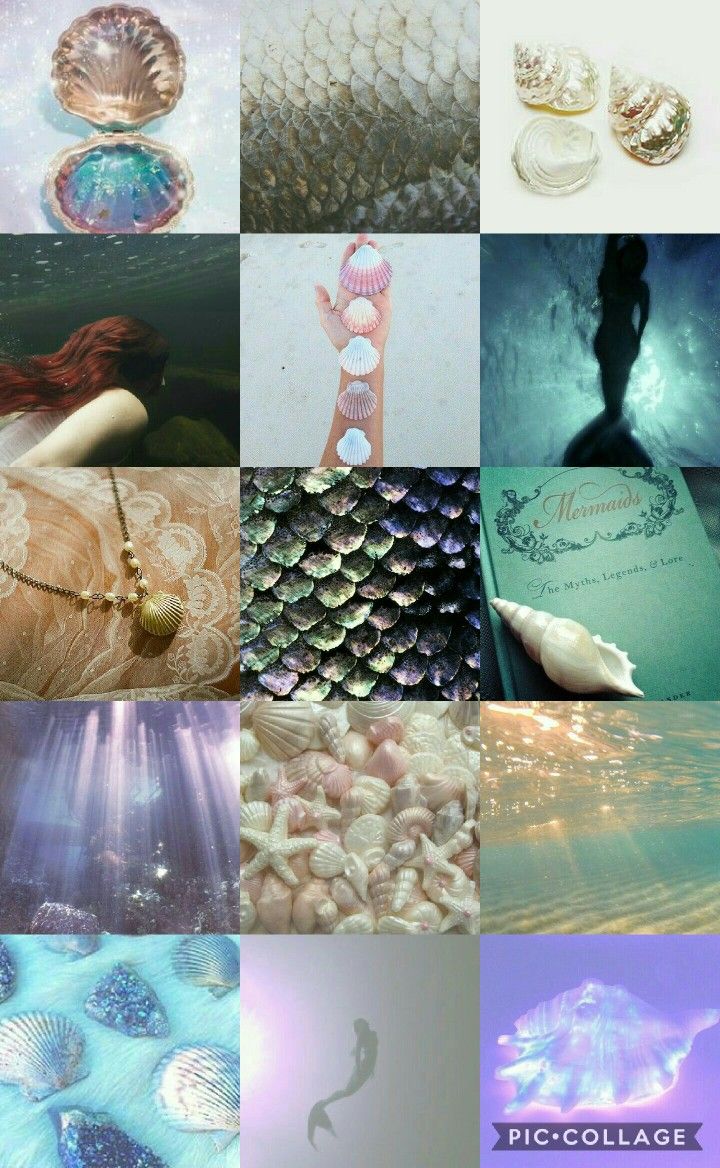 A collage of pictures with different shells and mermaids - Mermaid