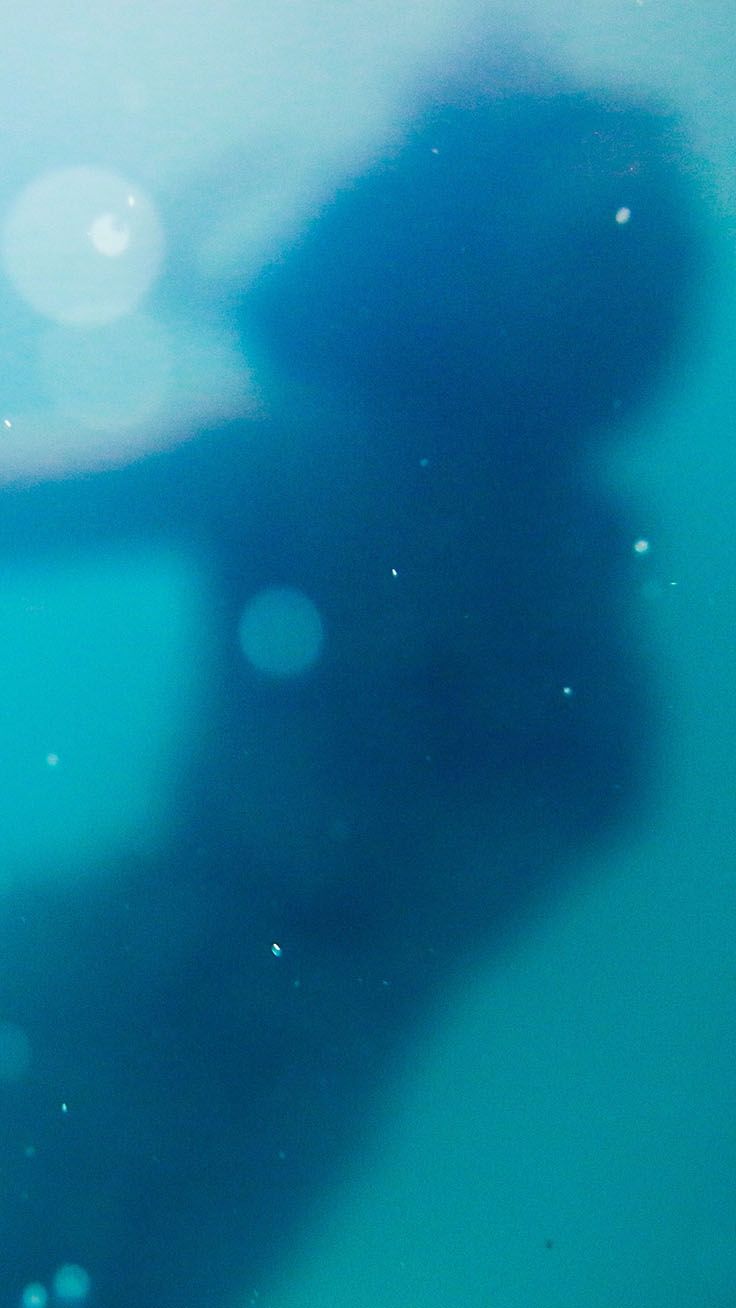The silhouette of a mermaid in blue water - Mermaid