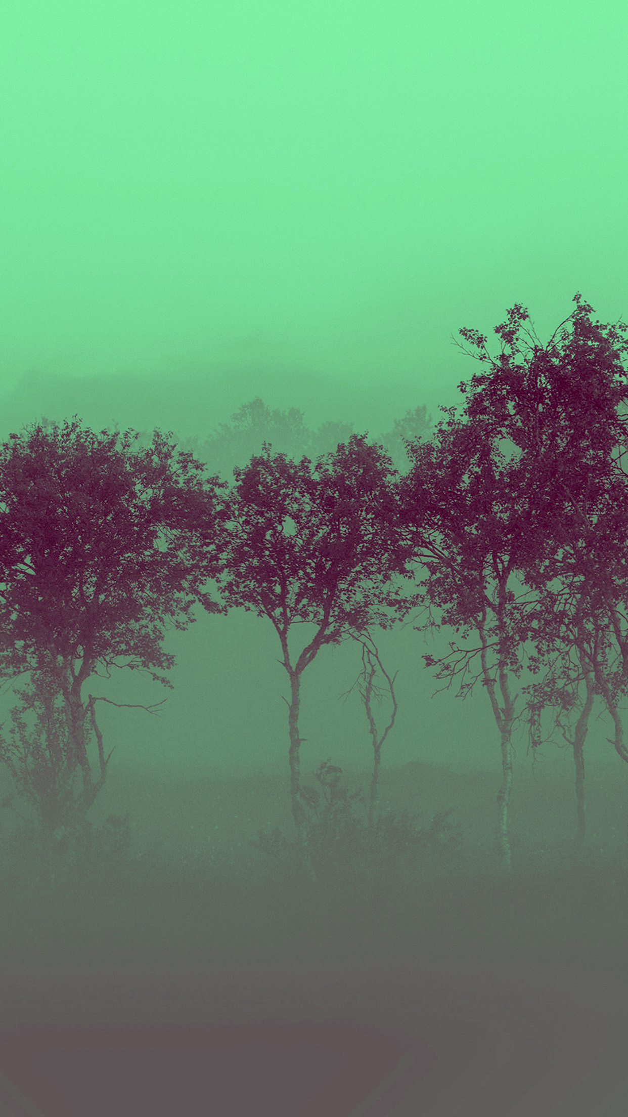A forest of trees with a green and purple filter. - Woods
