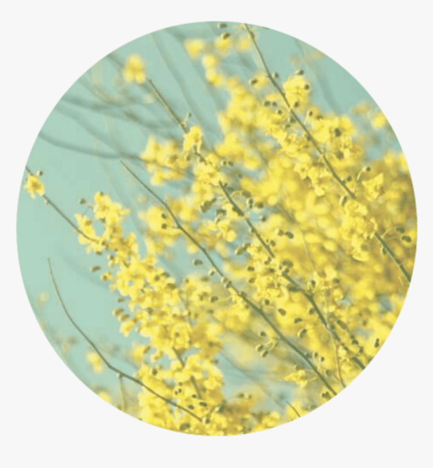 aestheticbackground #background #aesthetic Light Yellow Yellow Aesthetic, HD Png Download, Transparent Png Image