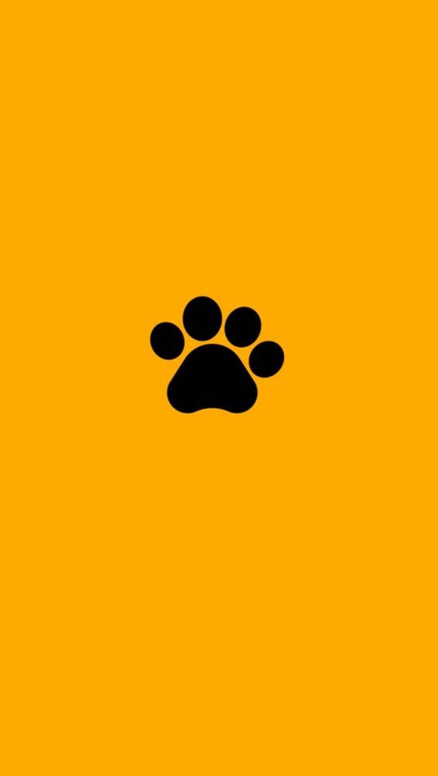 Download Black Paw On Cute Pastel Yellow Aesthetic Wallpaper
