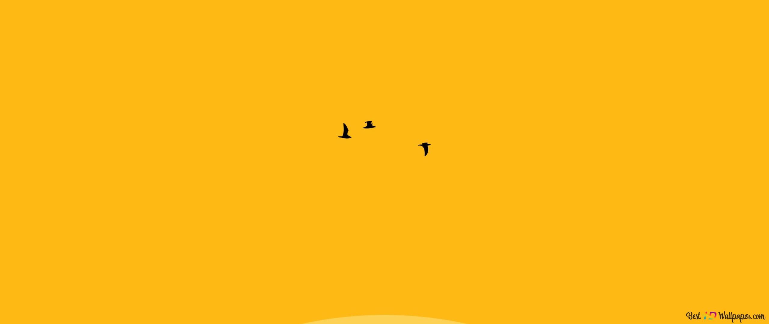 Background with light yellow and ocher colors with flying birds 2K wallpaper download