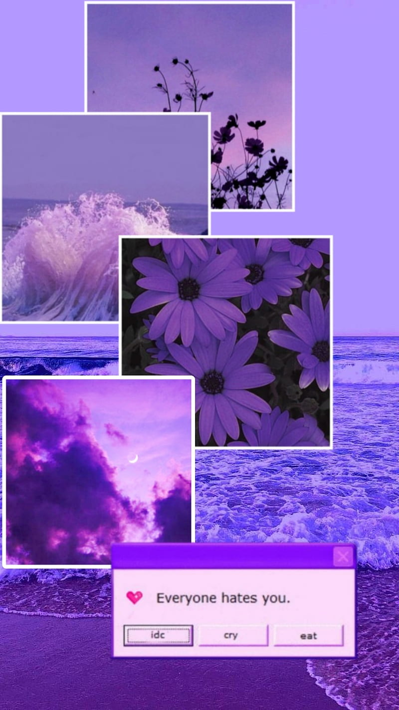 A computer screen with pictures of purple flowers - Purple