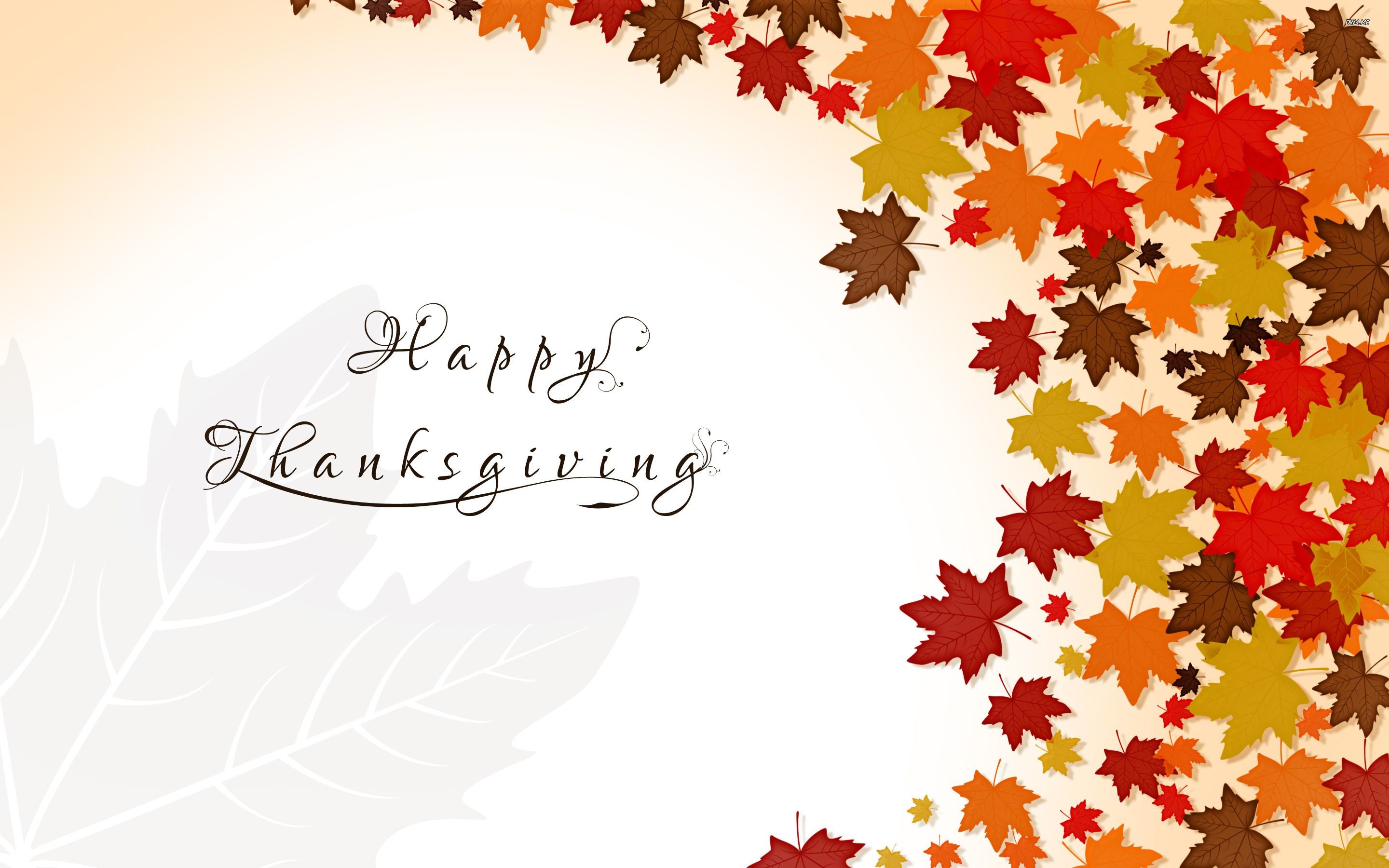 A thanksgiving wallpaper with autumn leaves and a white background - Thanksgiving
