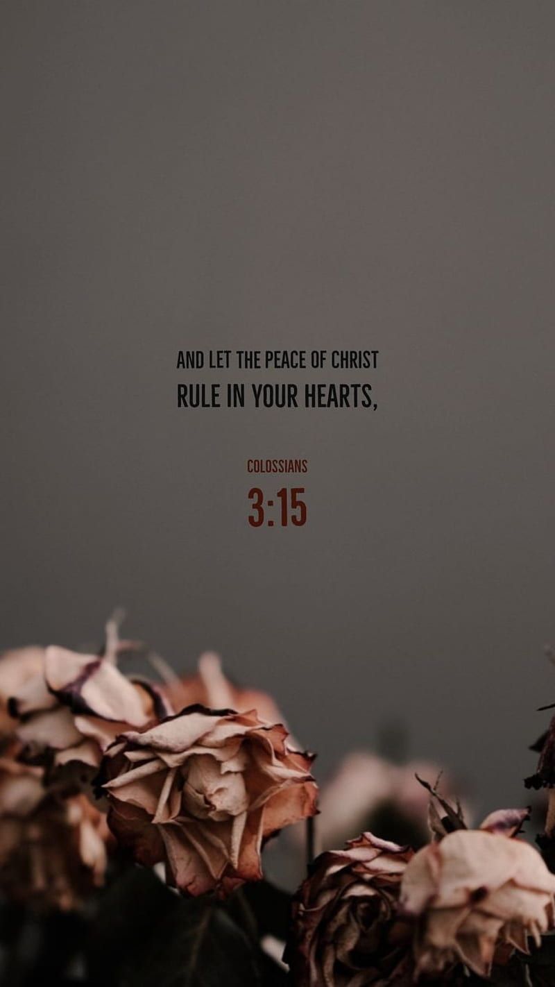 A quote that says and let the peace of christ rule in your hearts - Jesus, Christian