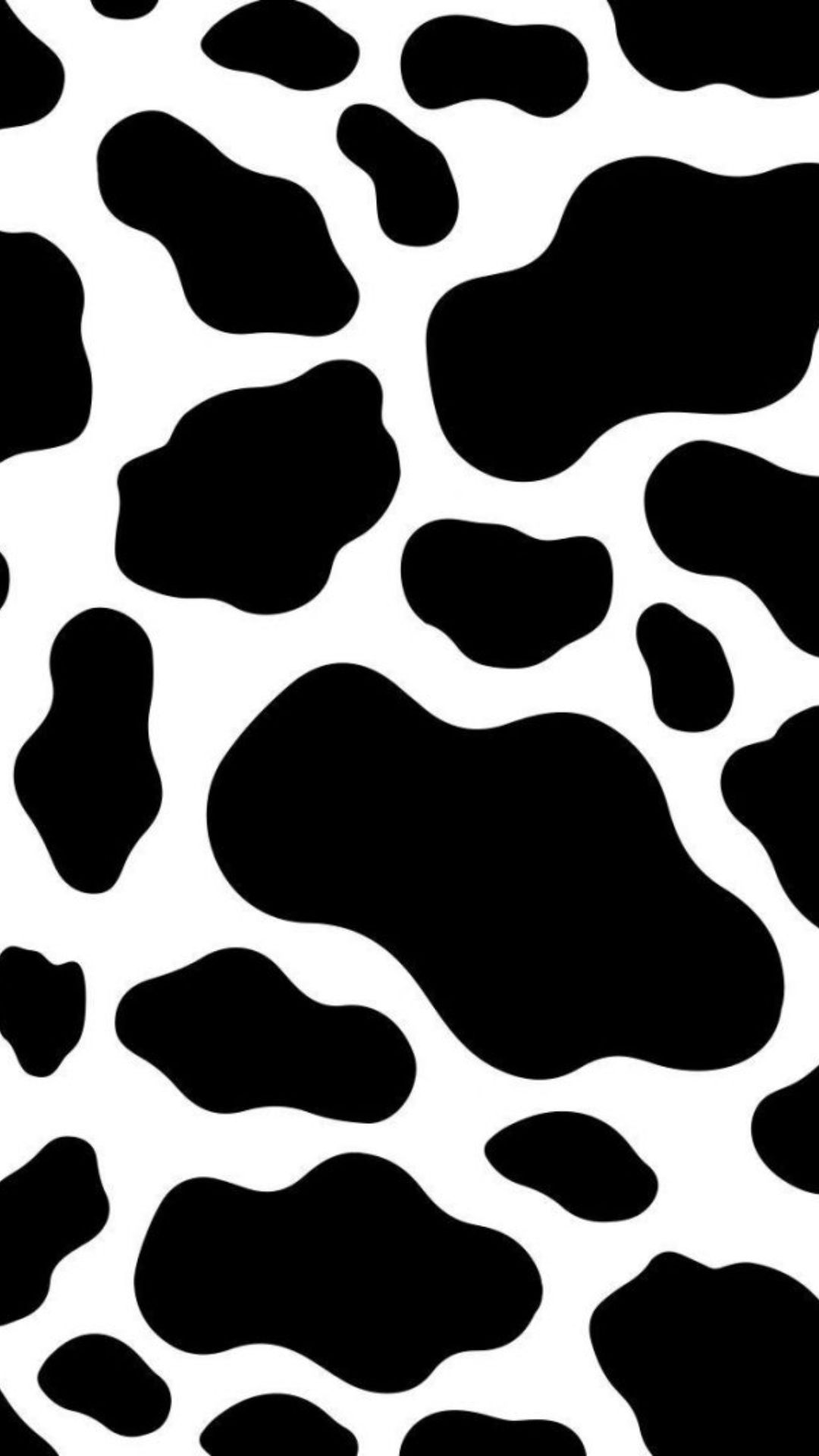 Cow Print Wallpaper Cow Print Wallpaper Download