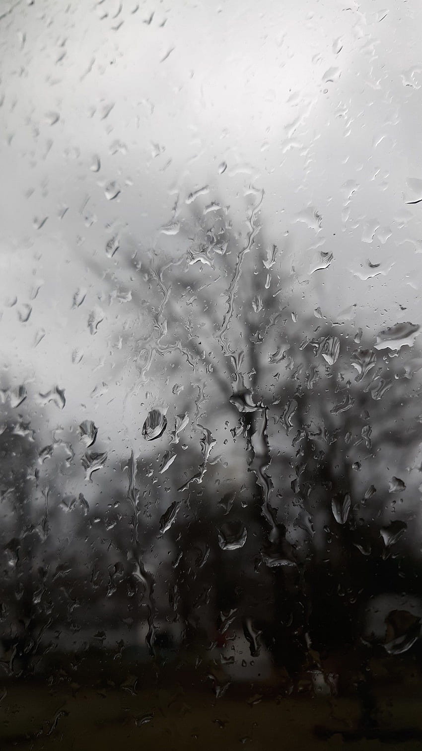 Raindrops on a window with a tree in the background - Rain