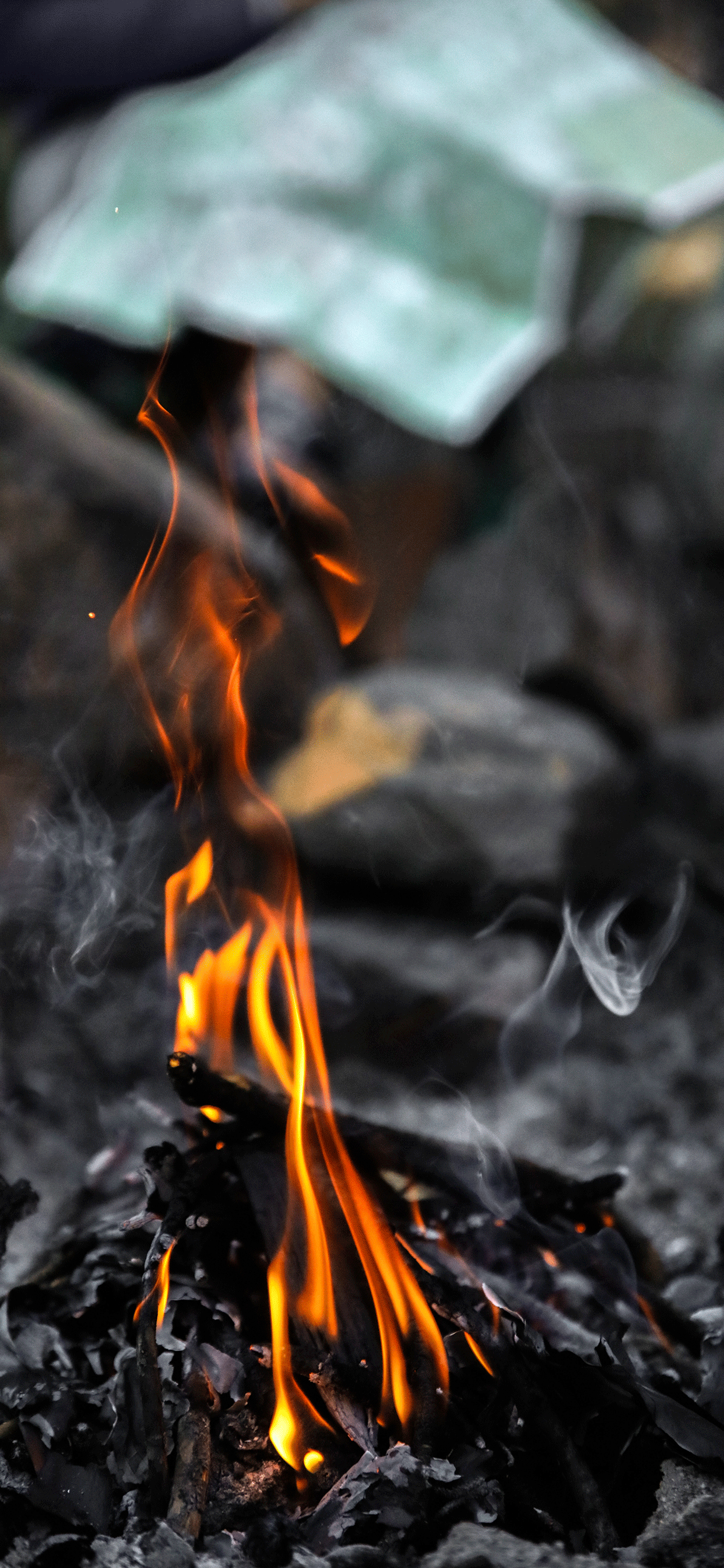 A close-up of a small fire burning in a pile of ash and leaves. - Fire