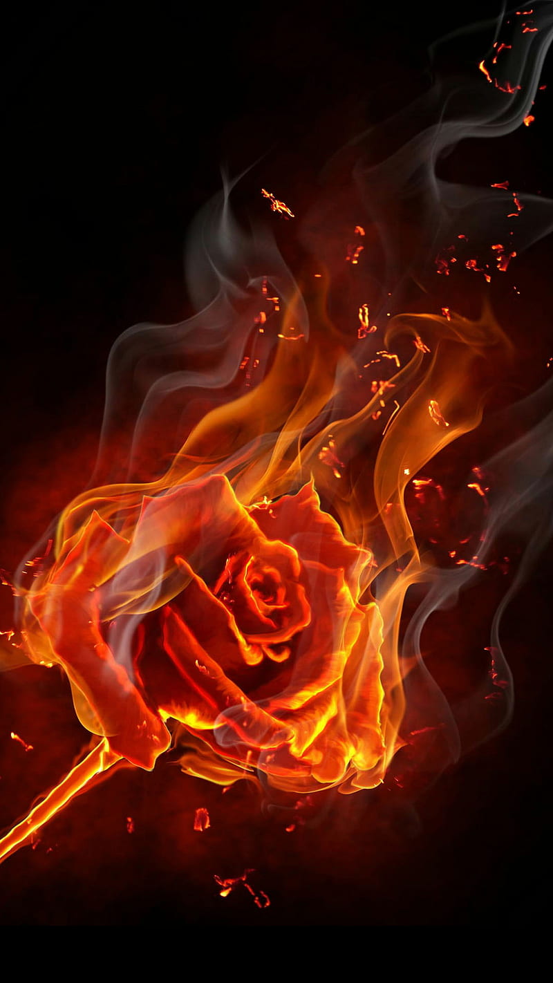 A flaming rose with smoke coming out of it - Fire