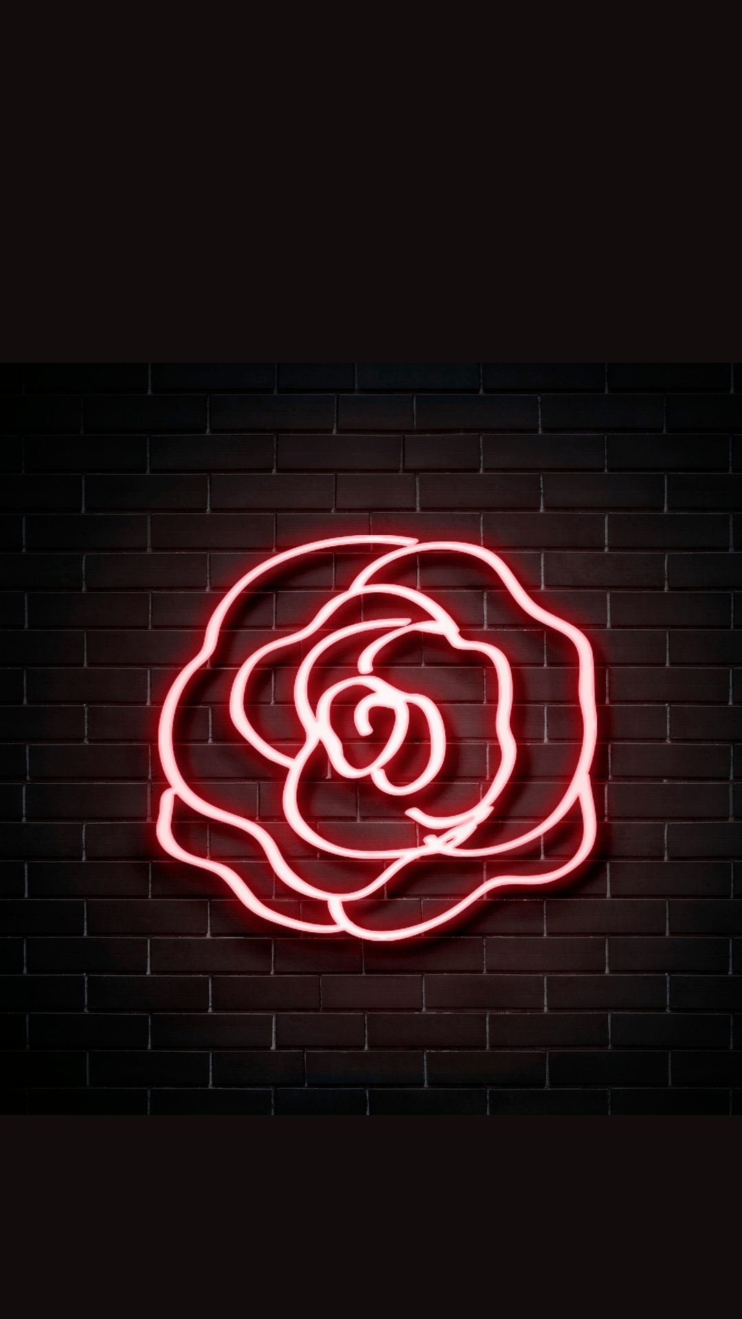 A neon rose sign on the wall - Neon red, red, iPhone red