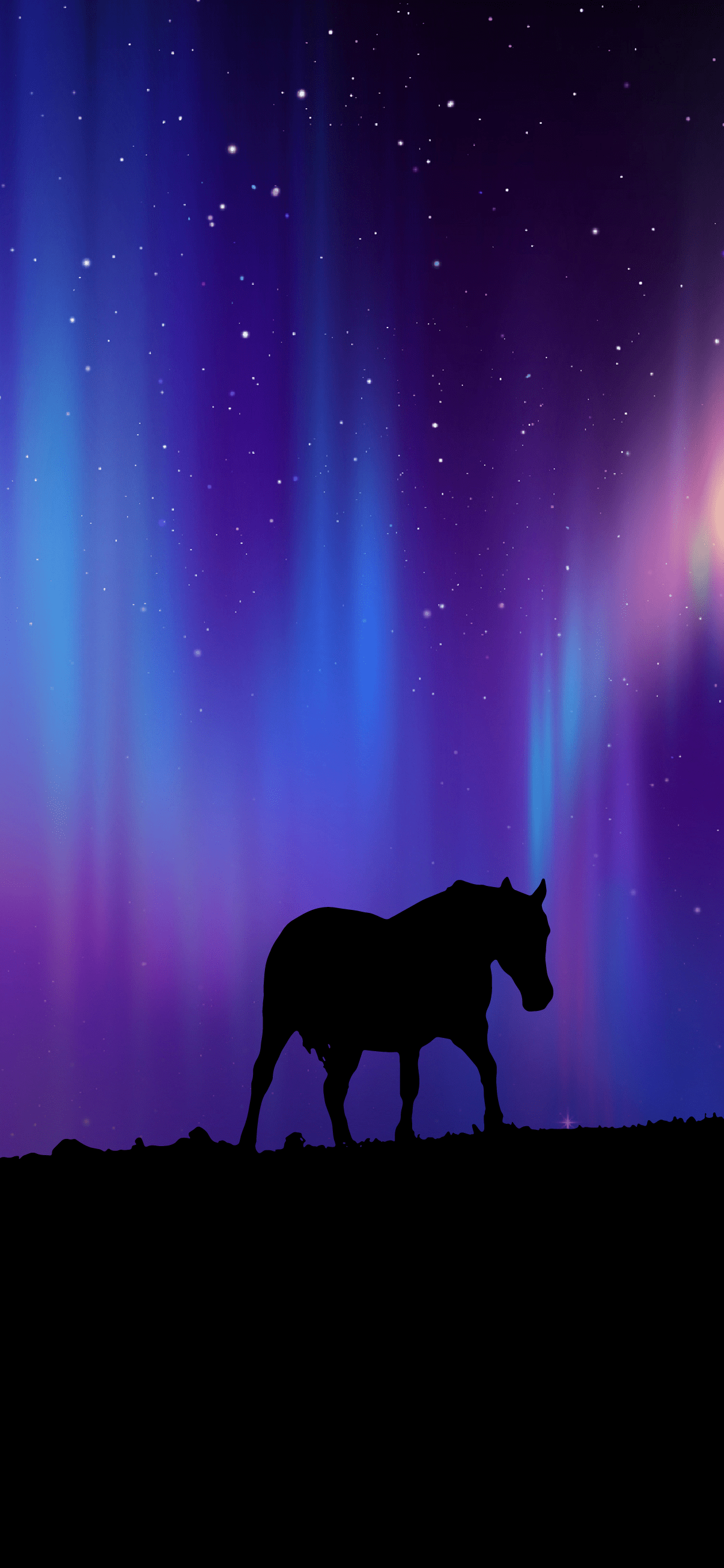 Phone wallpaper horse