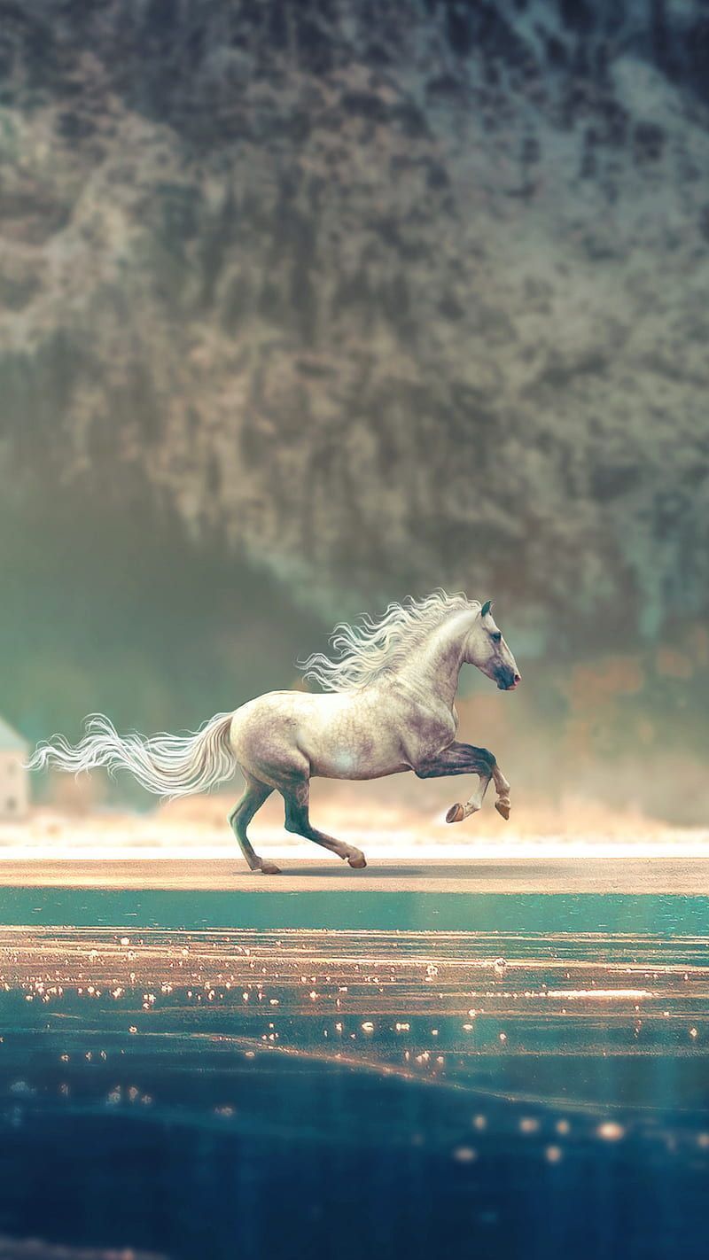 A horse is running on the beach - Horse