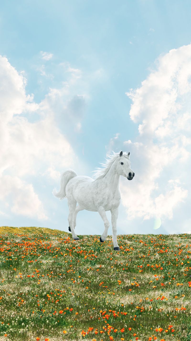 A white horse running across the grass - Horse