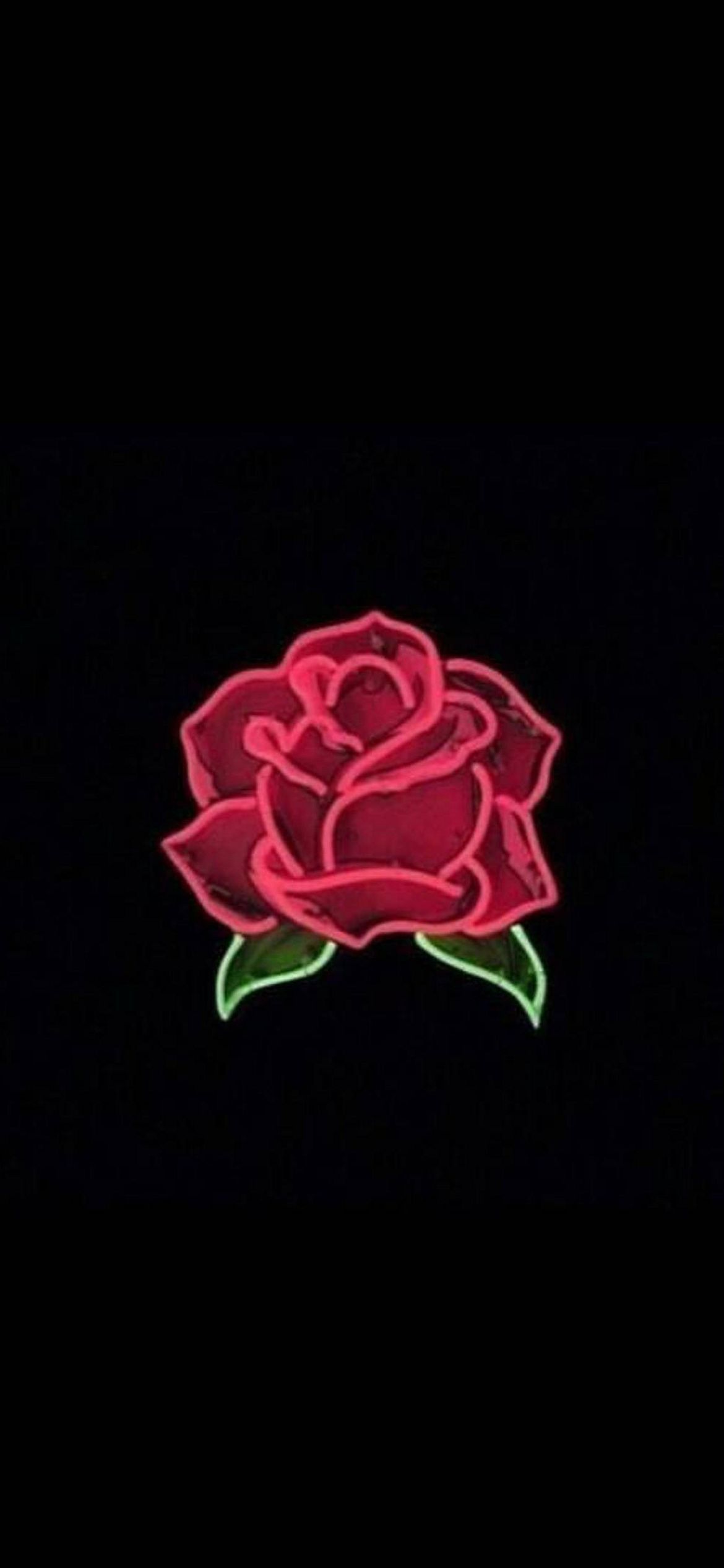 The rose from beauty and beast in a dark room - 