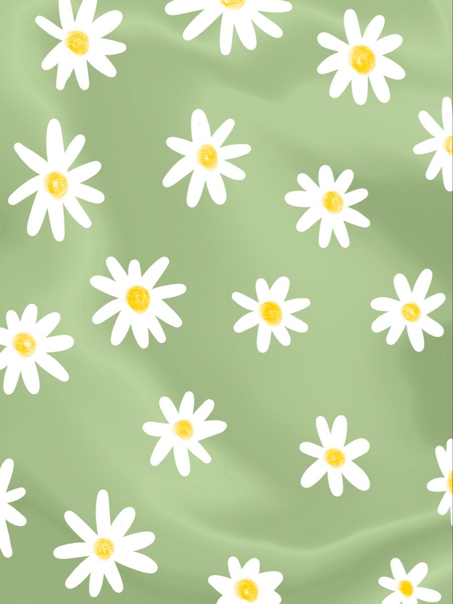 A green background with white daisies - Daisy