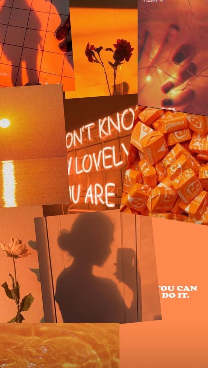 Aesthetic orange, aesthetic girl, birtay, halloween, holiday, rose, scary, sea, HD phone wallpaper