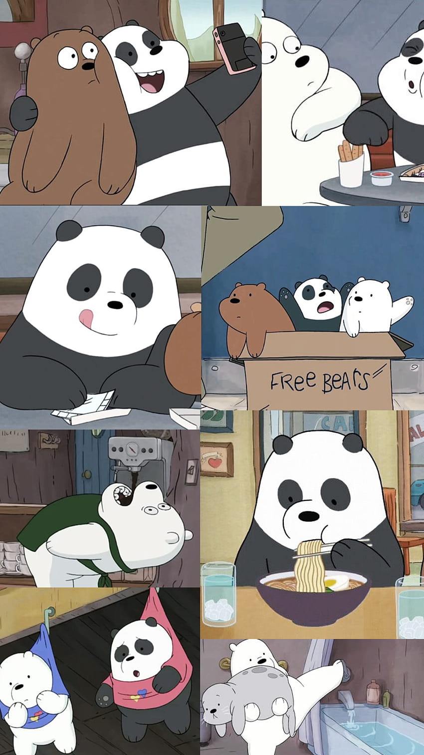 A collection of pictures showing different panda bears - We Bare Bears