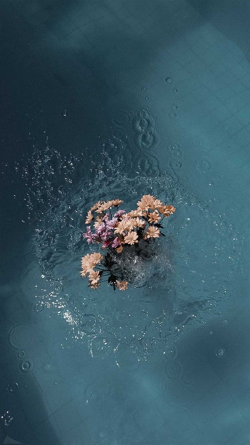 A vase with flowers floating in water - Water, swimming pool, underwater