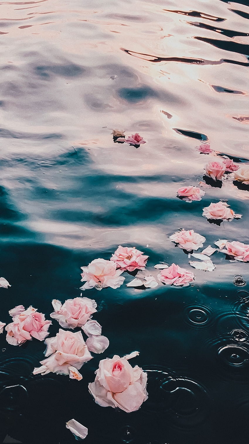 Water aesthetic tumblr rose HD wallpaper