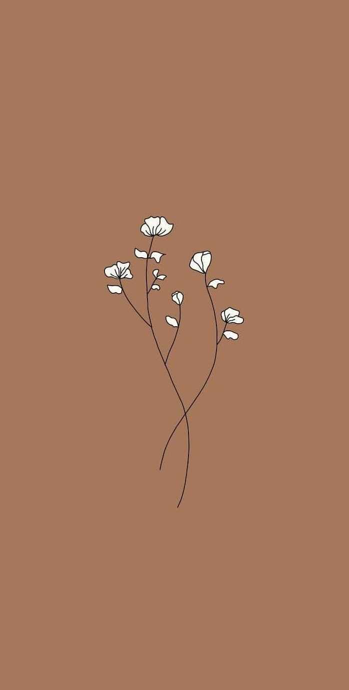 Minimalist aesthetic wallpaper with a brown background and white flowers - Sun