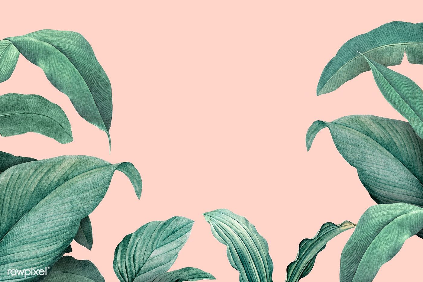 Exotic tropical leaves on a pink background - Tropical
