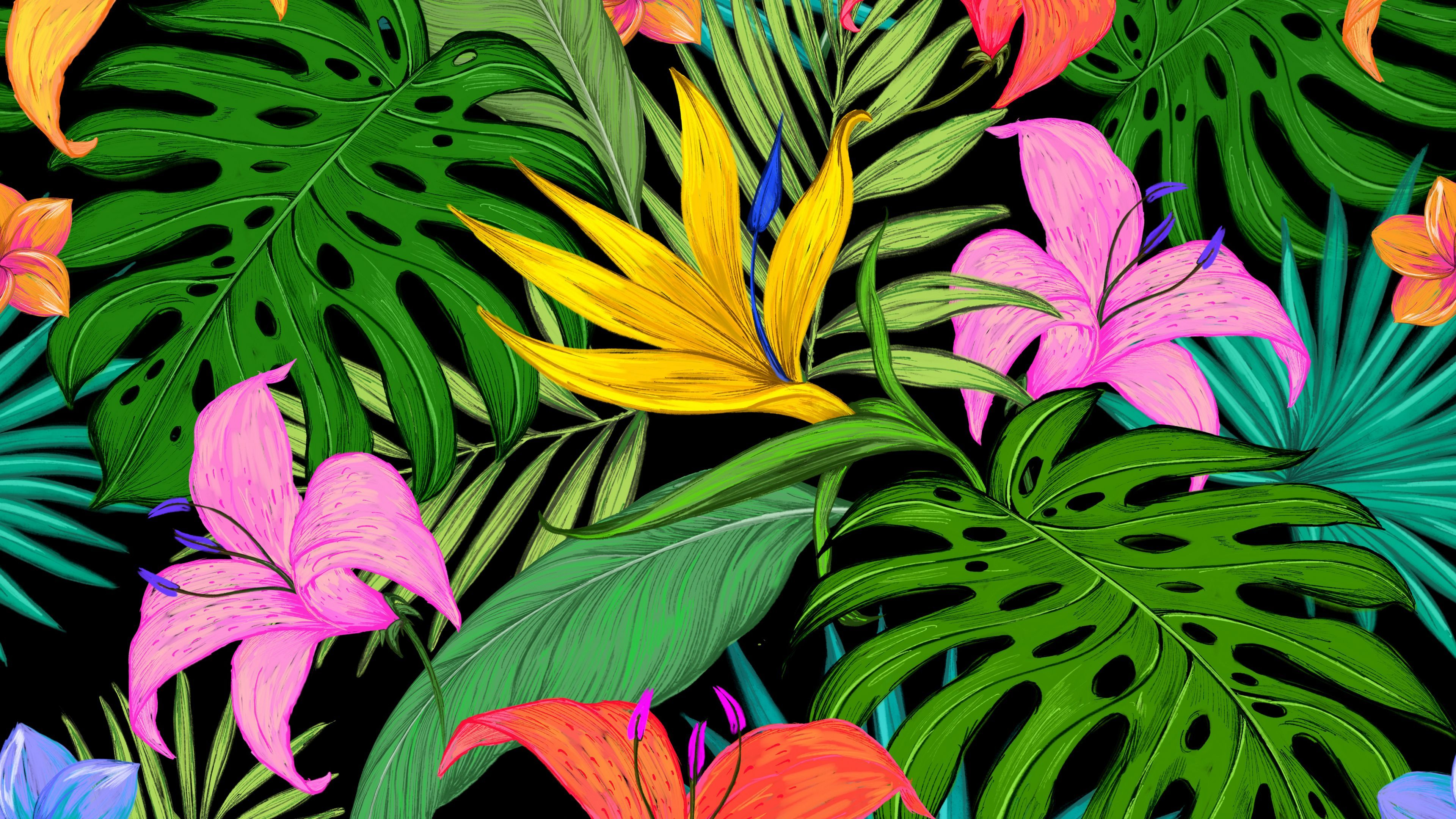 Tropical Wallpaper and Background 4K, HD, Dual Screen