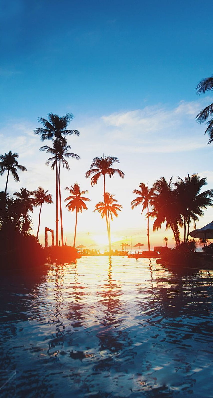 A sunset over the ocean with palm trees - Florida