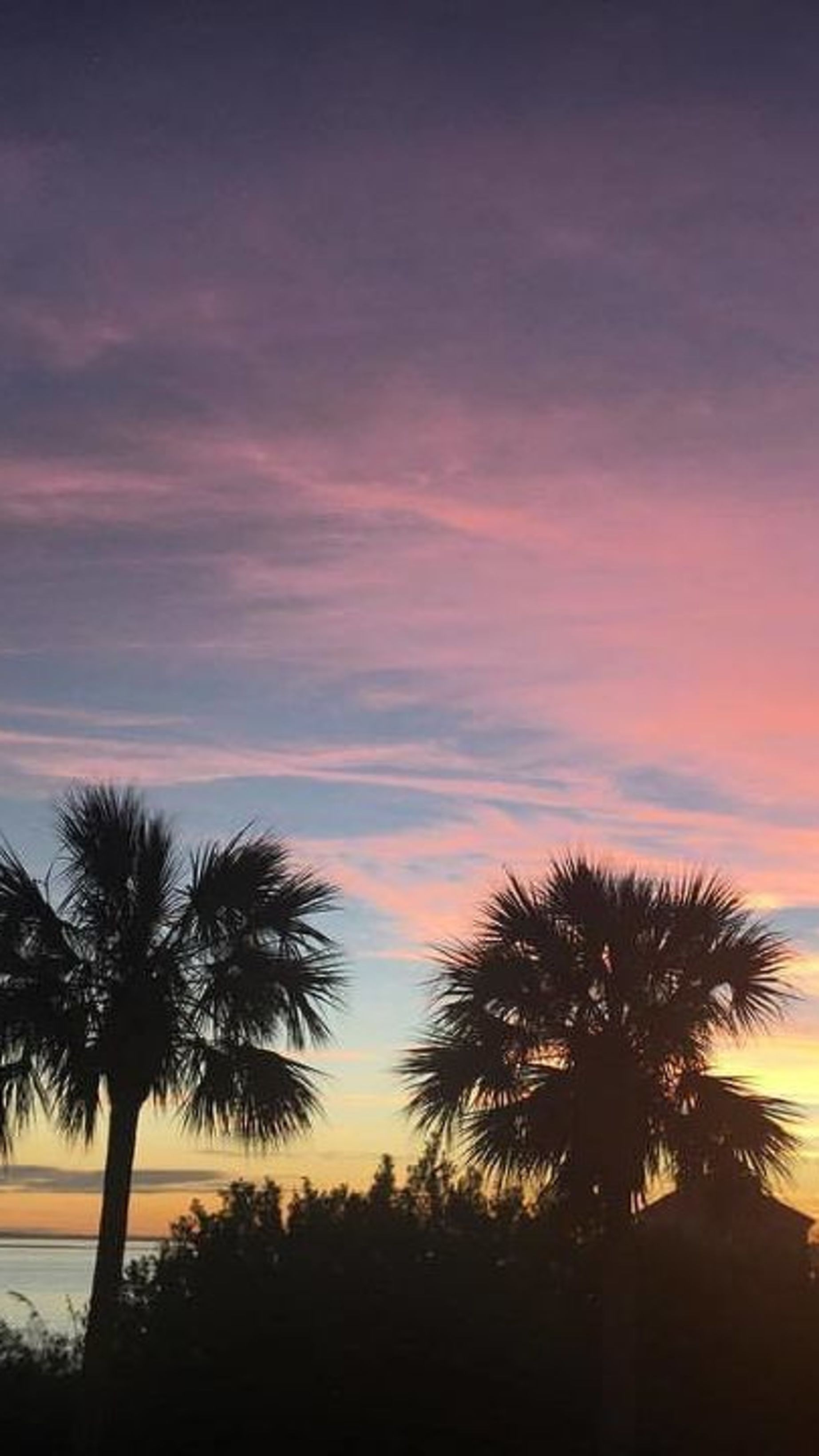 The sunset from our balcony - Florida