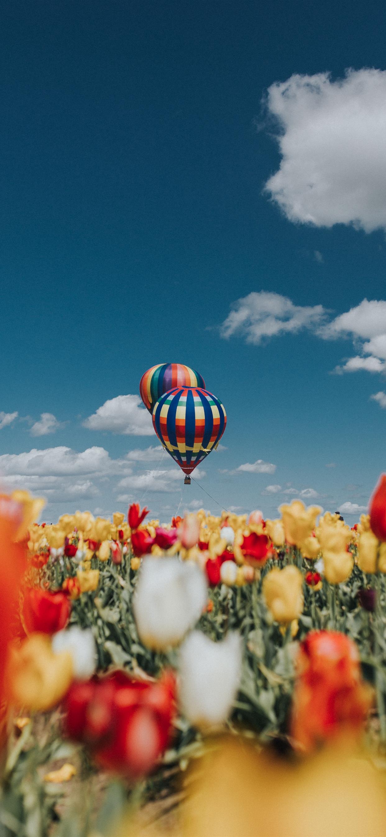 Balloon Over Tulips iPhone 11 Wallpaper Free Download
