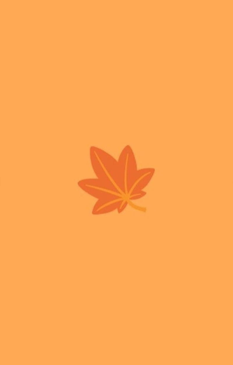 A leaf on an orange background - Cute Halloween, cute fall