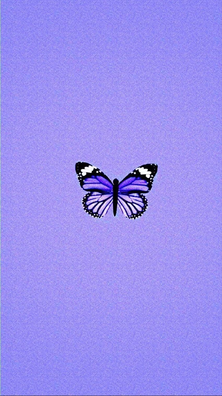 A butterfly is on the screen - Violet, cute purple