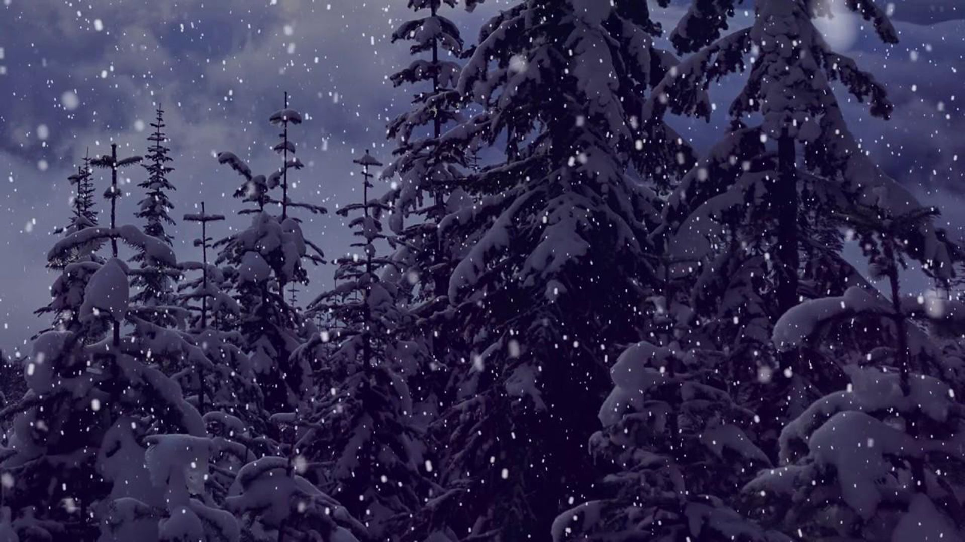 A snowfall in the forest - 1920x1080