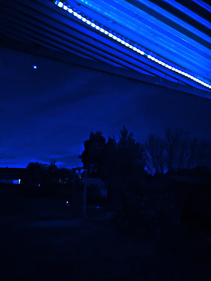 Neon blue night, aesthetic, dark, sky, trees, HD phone wallpaper