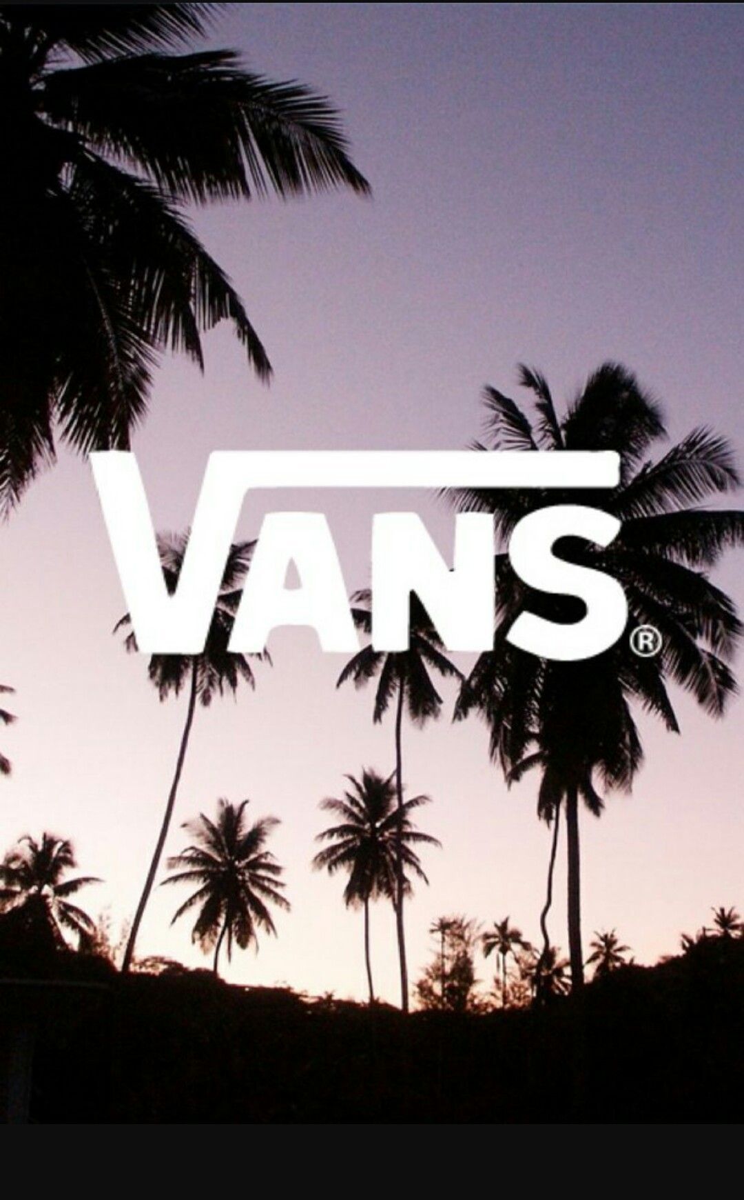 A palm tree with the word vans on it - Vans