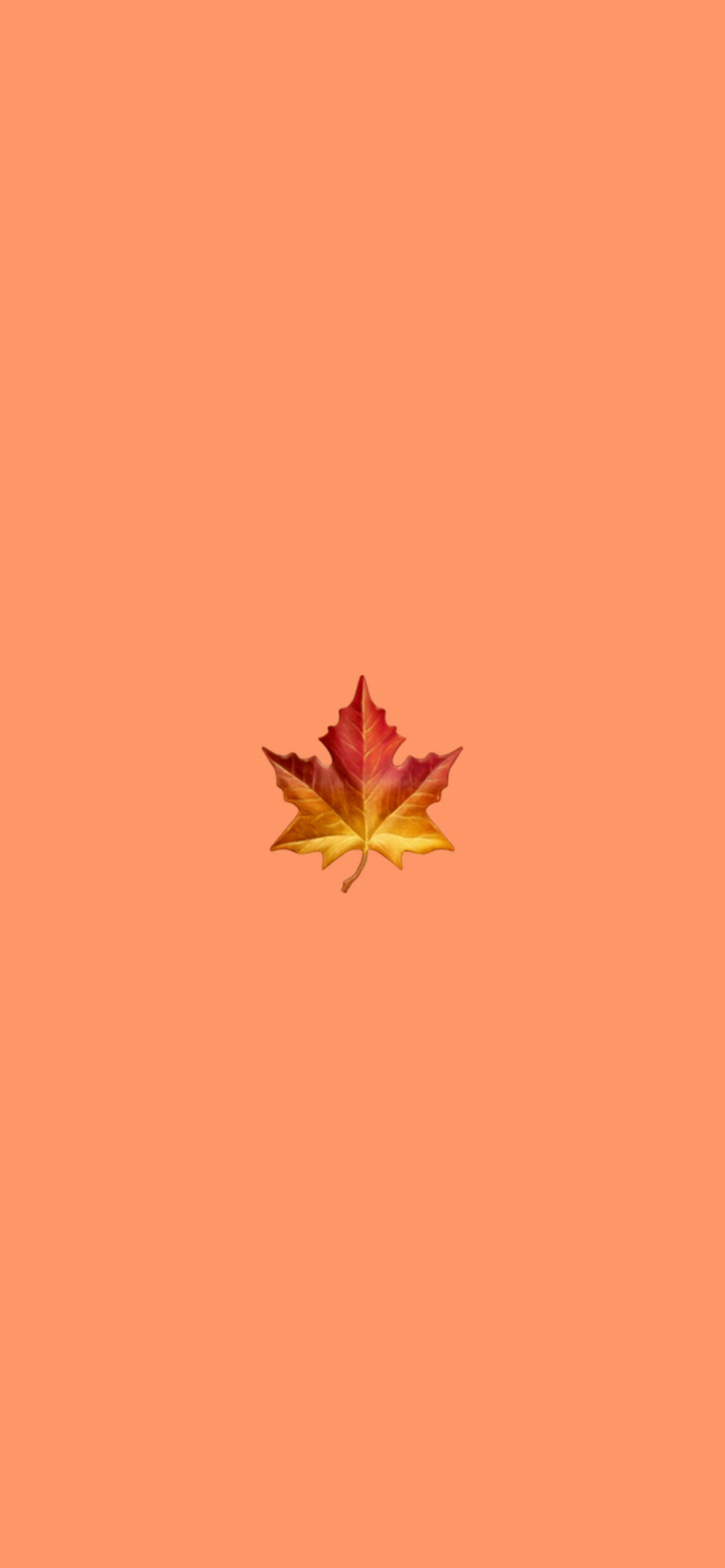 A colorful leaf on a solid orange background - Leaves, Emoji