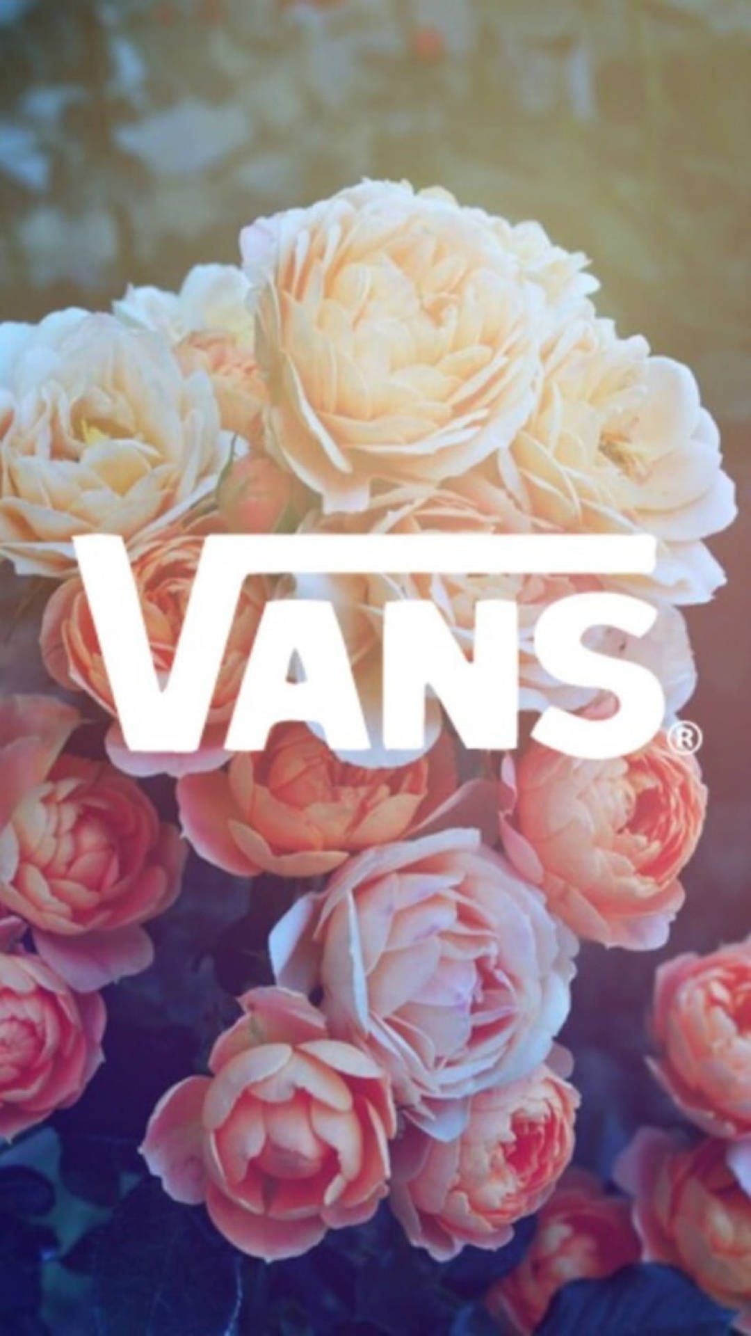 Download Vans Logo With Aesthetic Flowers Wallpaper