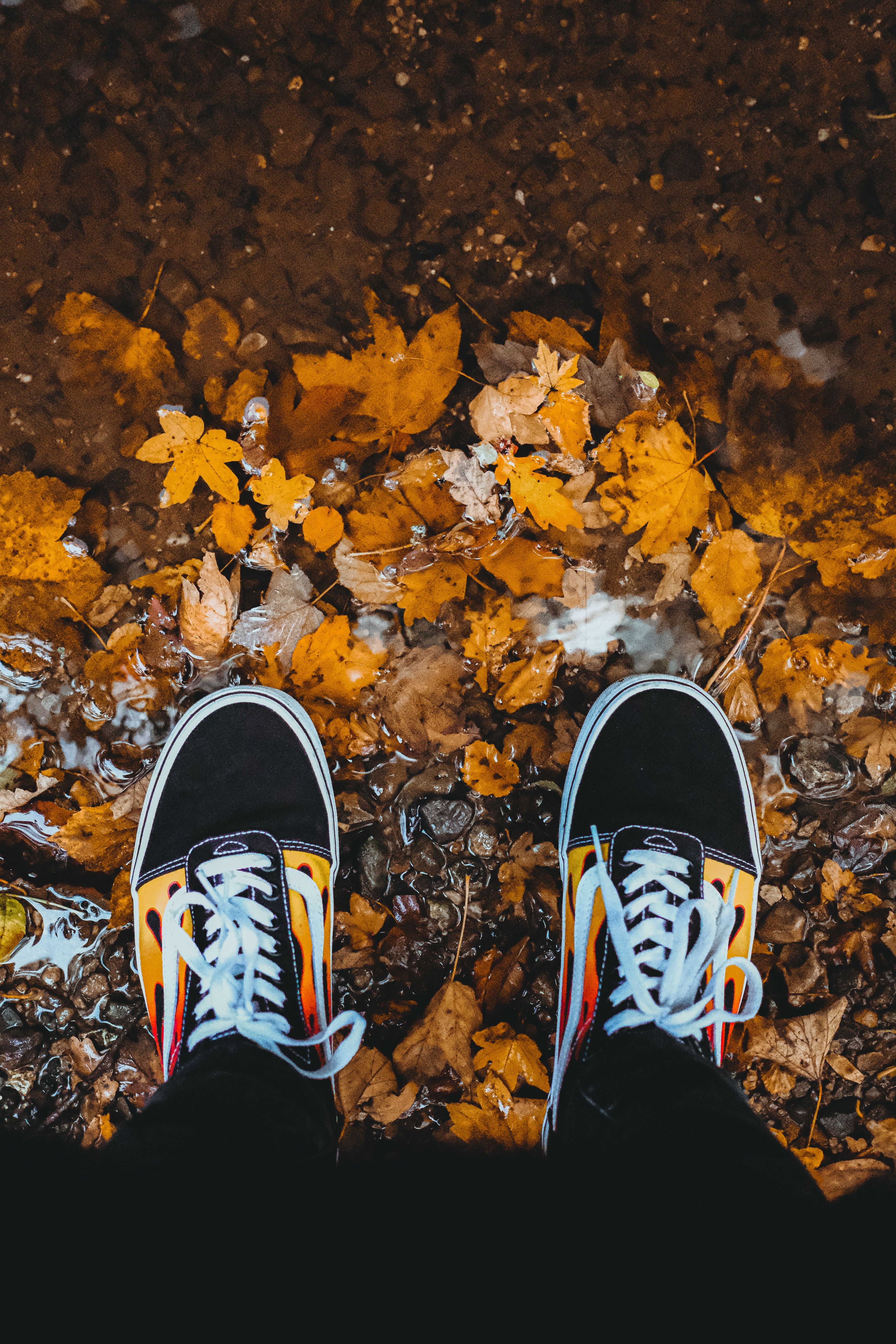 A person standing in the middle of leaves - Vans