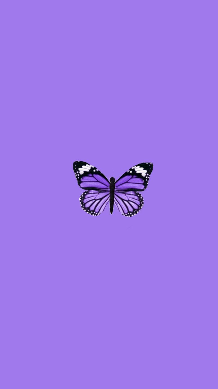A purple butterfly on the wall - Apple Watch