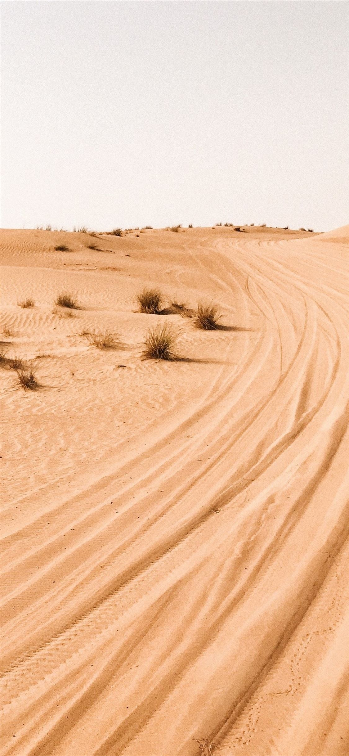 desert photography 4k #desert #photography #nature k #iPhone11Wallpaper. Desert photography, Photography 4k, Scenery wallpaper