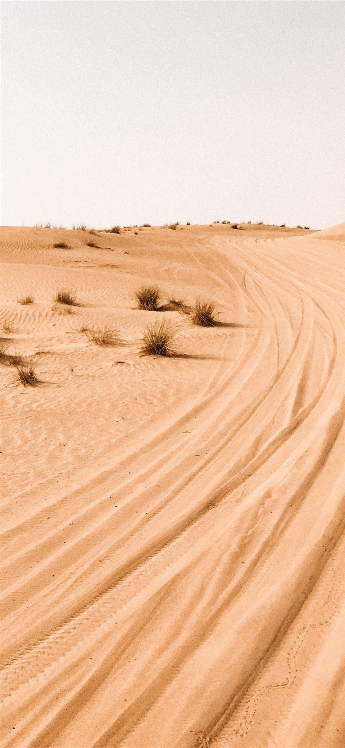 A desert with tire tracks in the sand. - Desert