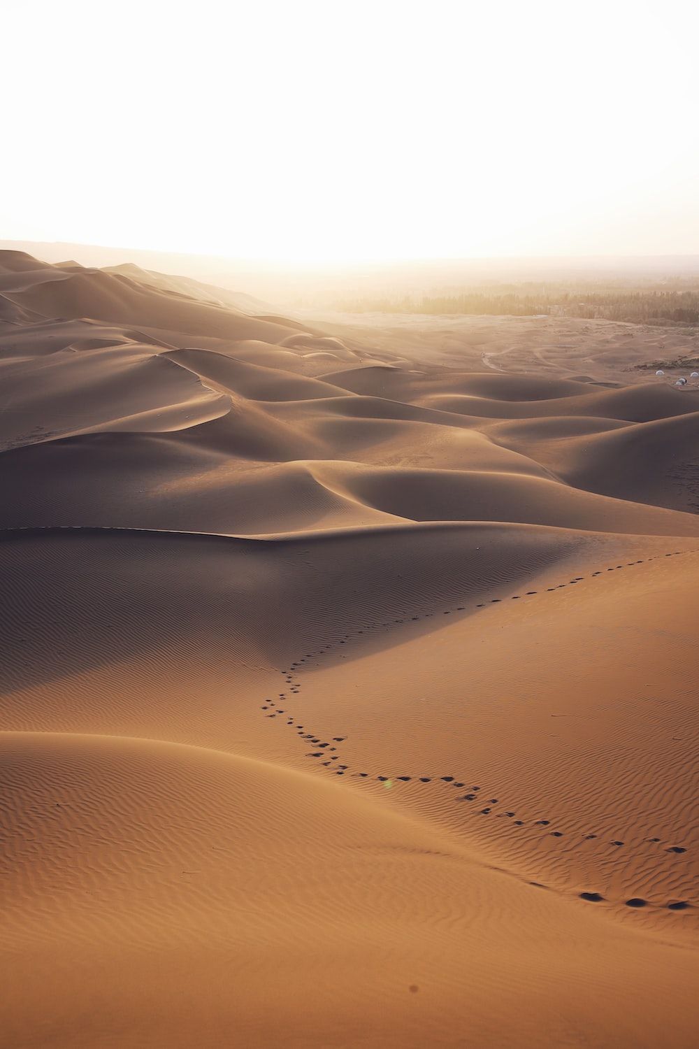 aerial photo of brown desert photo