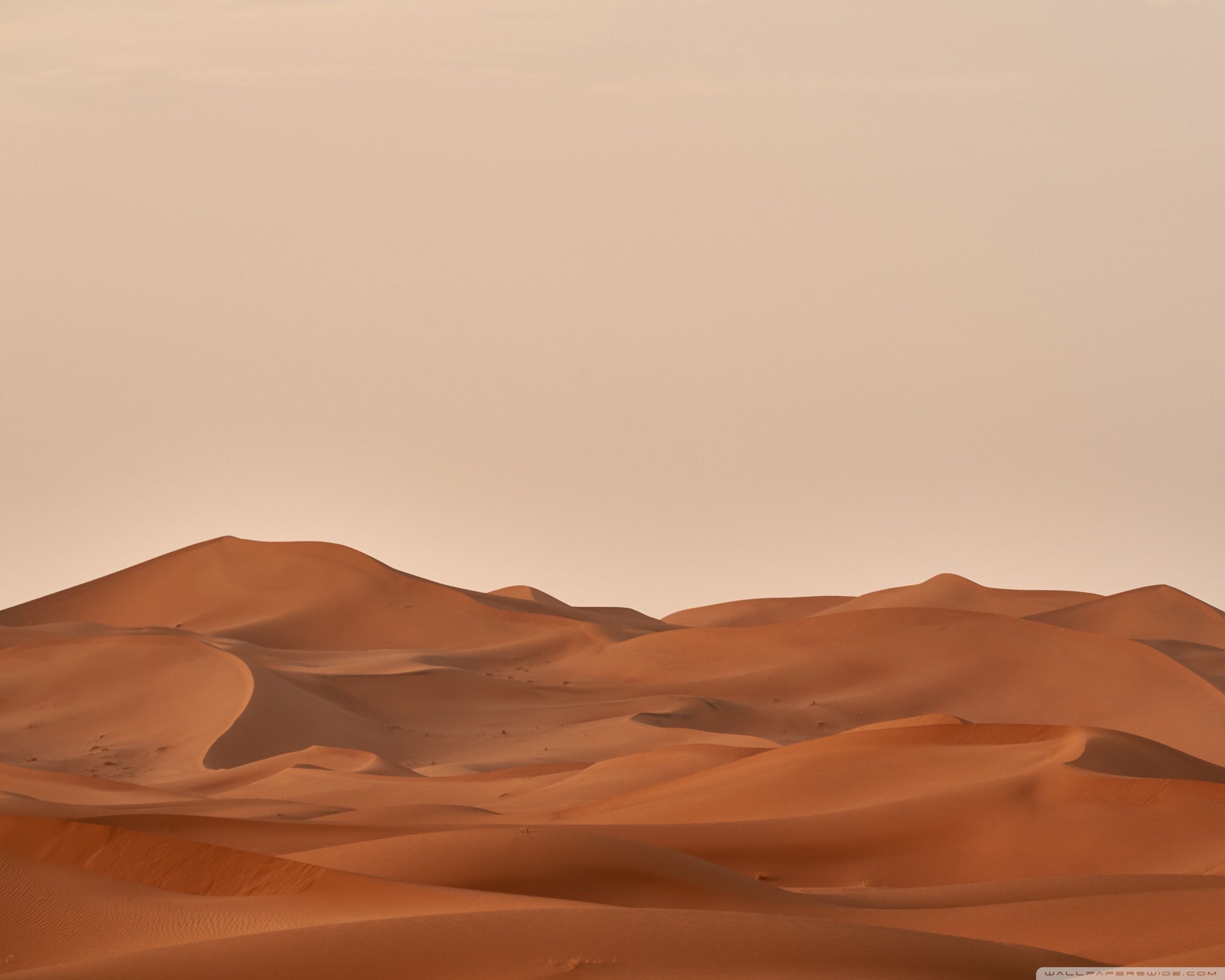 A man riding his horse through the desert - Desert