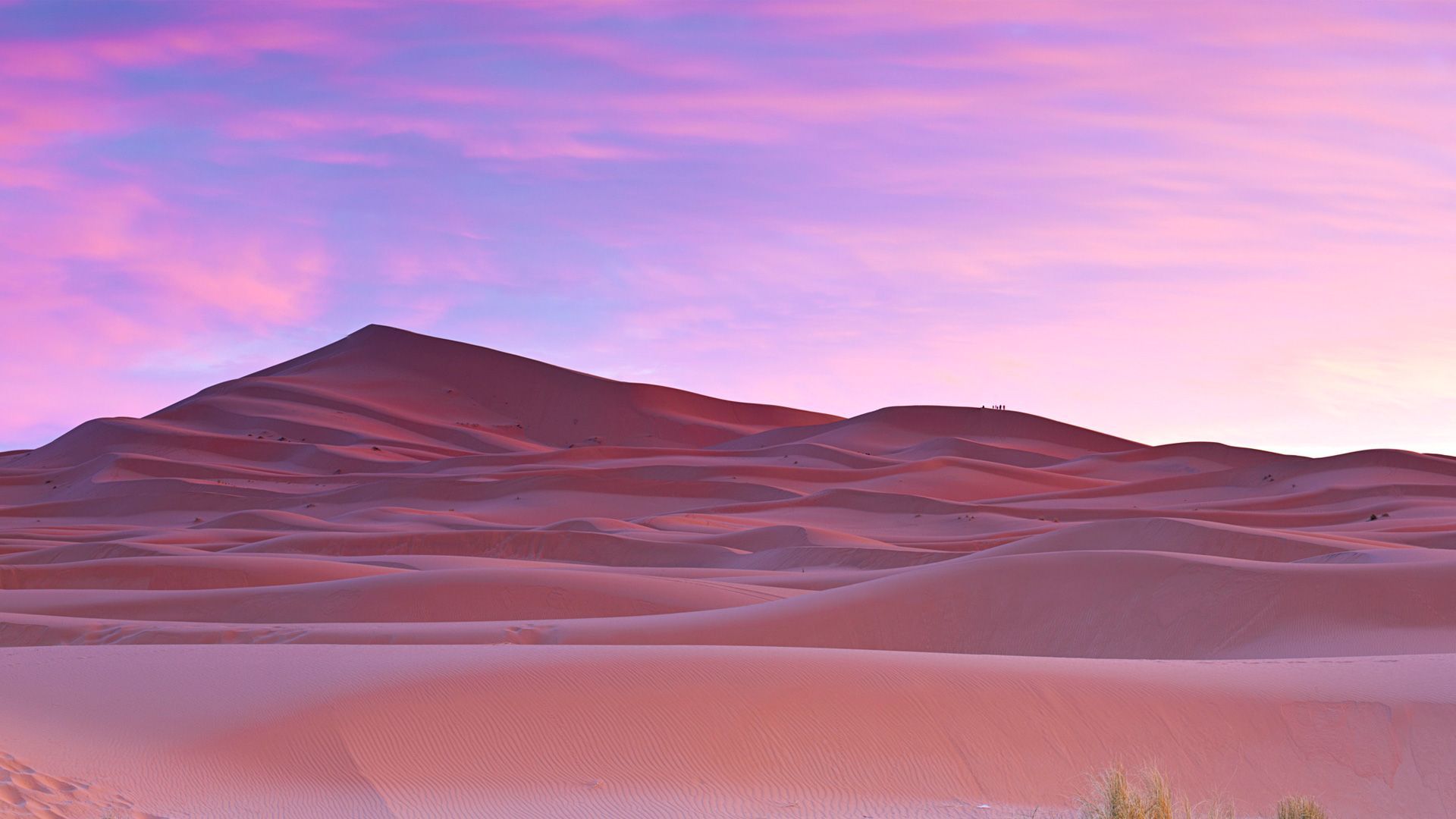 A man standing on top of sand dunes - Desert